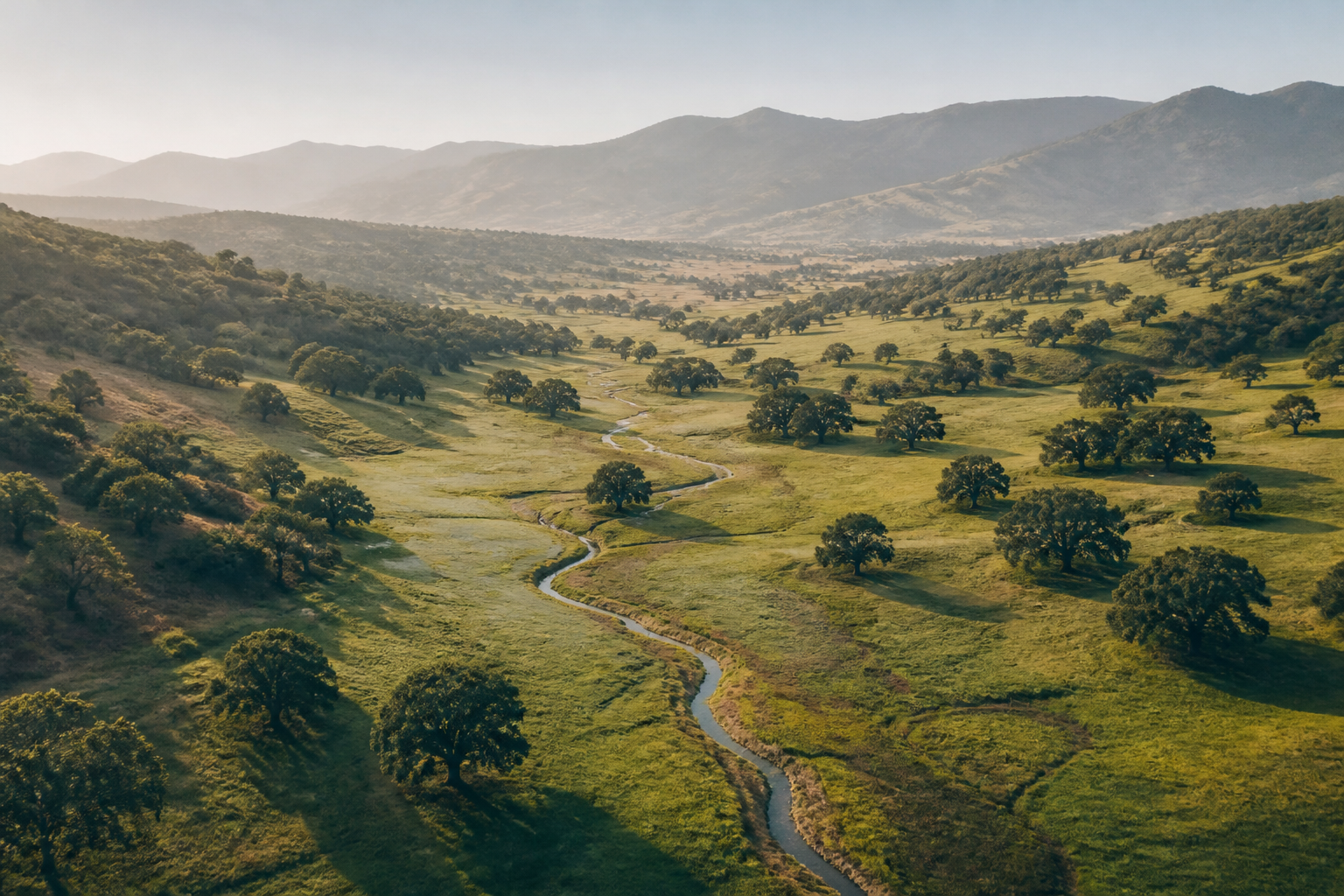Green valley acreage with oak trees and a winding creek